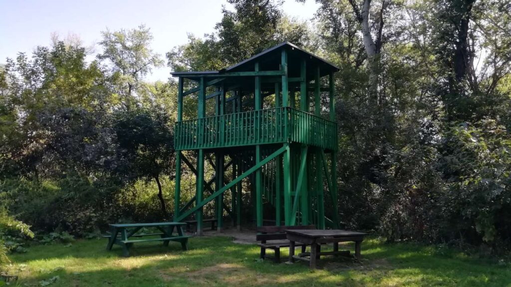 Tanösvény kilátó Mártélyon.