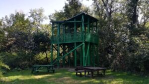 Tanösvény kilátó Mártélyon.