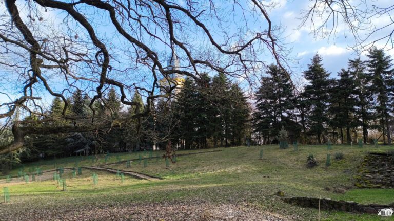 Tiszakürti Arborétum